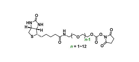 Biotin-PEGn-COO-NHS ester